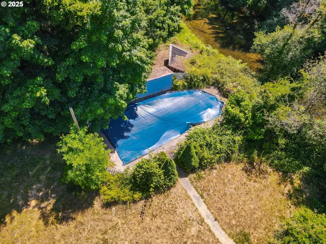 a view of a garden with plants