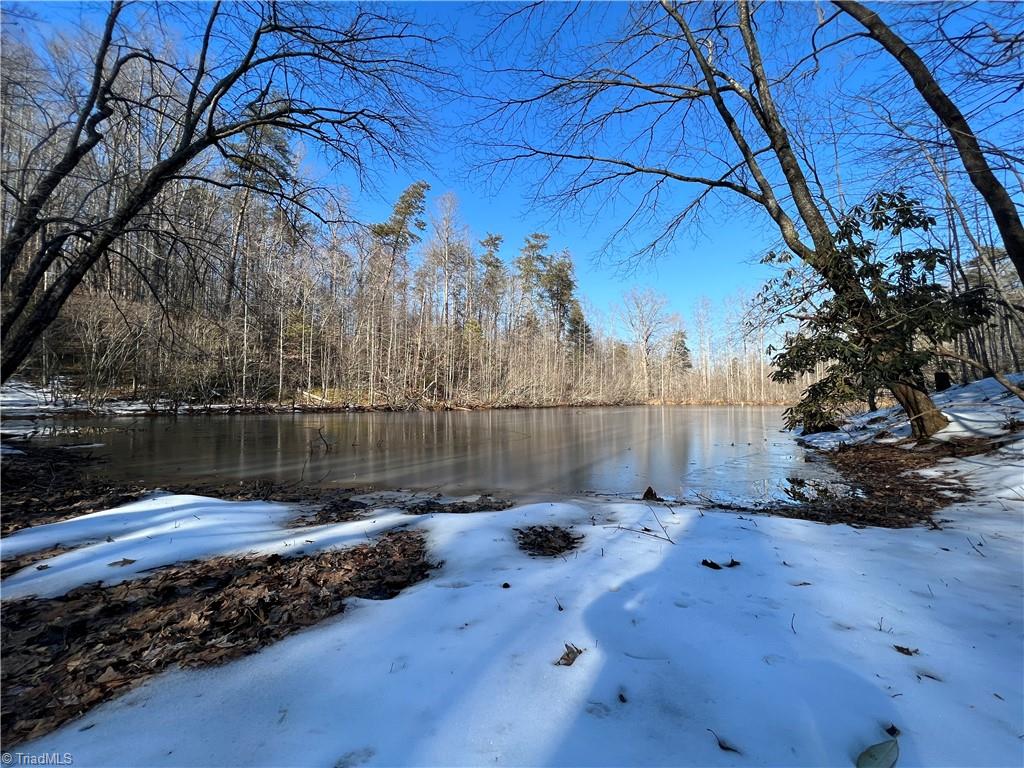 Tbd River Road Thurmond, NC 28683 - Photo 1 of 16 Gallery Image 1