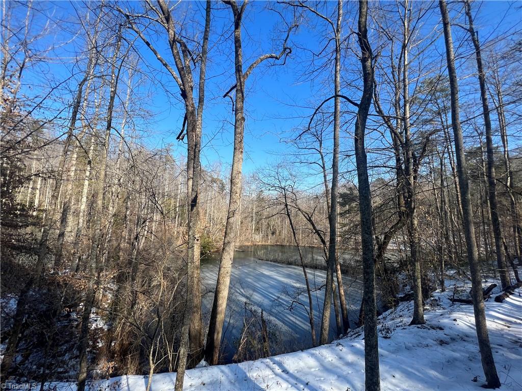 Tbd River Road Thurmond, NC 28683 - Photo 3 of 16 Gallery Image 3