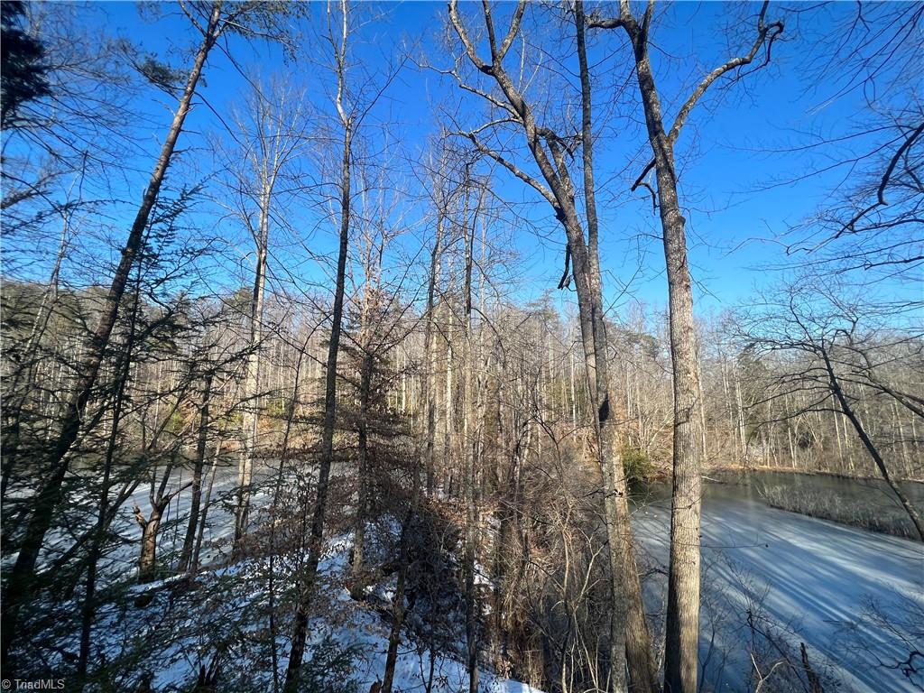 Tbd River Road Thurmond, NC 28683 - Photo 4 of 16 Gallery Image 4
