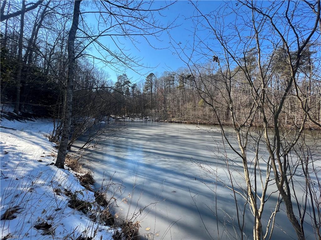 Tbd River Road Thurmond, NC 28683 - Photo 8 of 16 Gallery Image 8