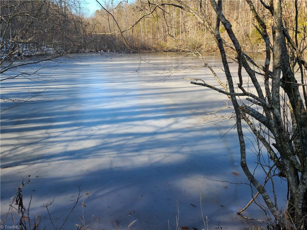 Tbd River Road Thurmond, NC 28683 - Photo 10 of 16 Gallery Image 10