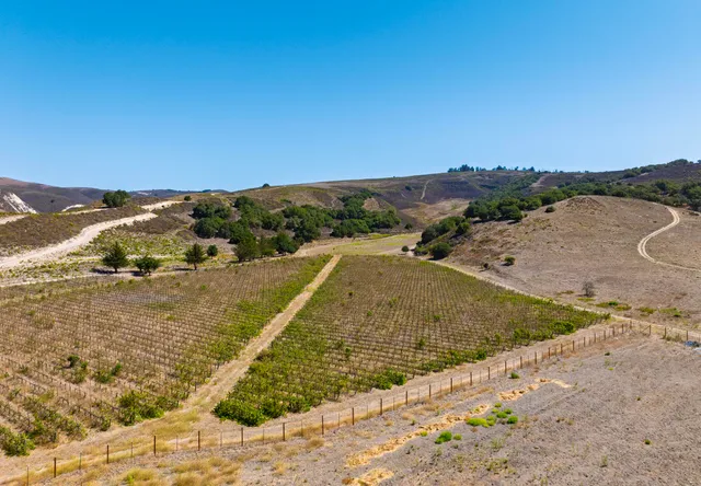 a view of a dry yard with wooden fence