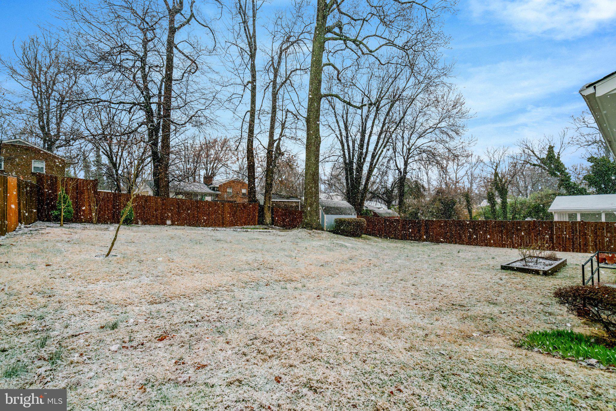 5417 Juliet Street Springfield, VA 22151 - Photo 42 of 46 a backyard of a house with a large tree