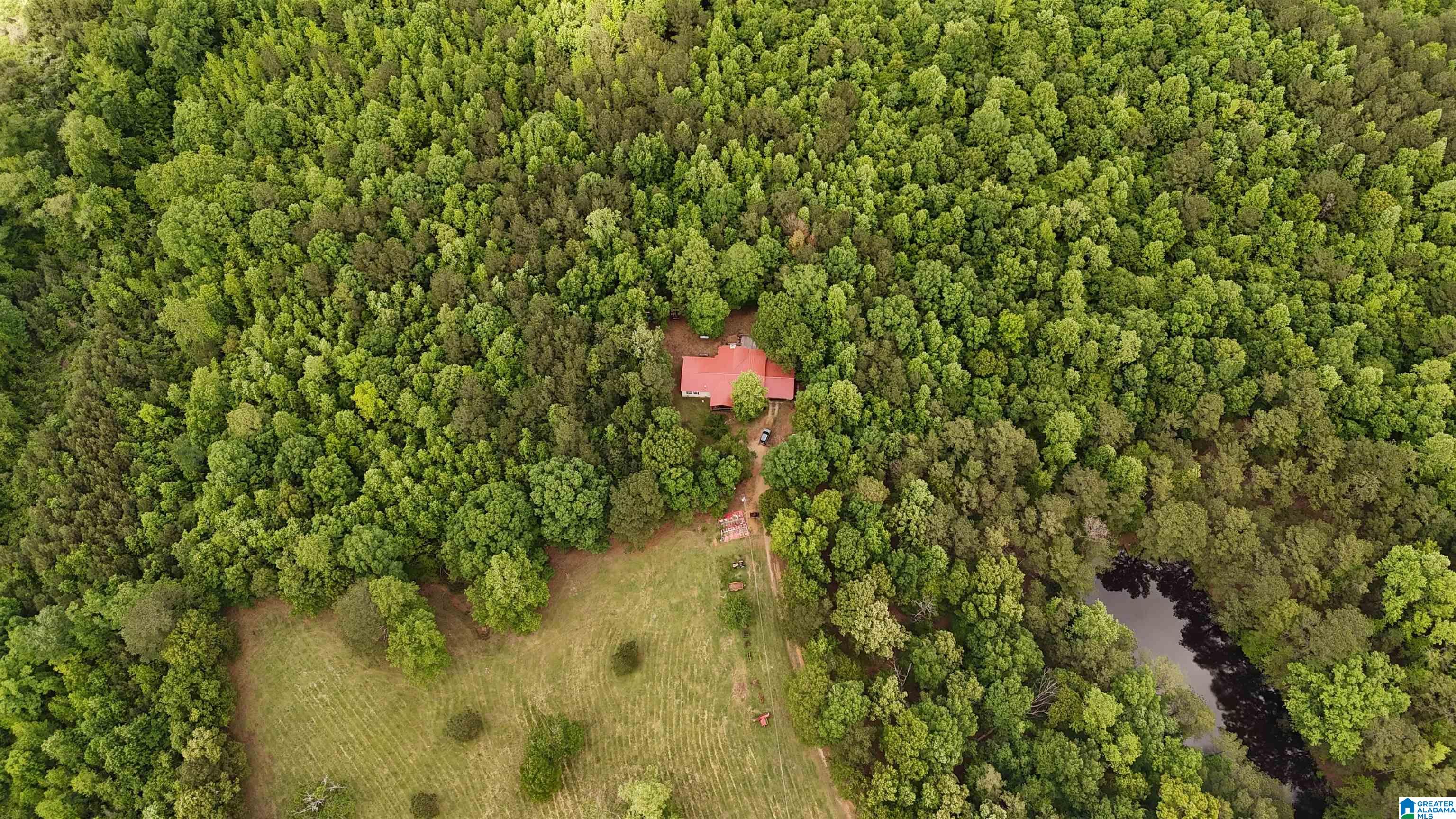 2488 Louina Road Roanoke, AL 36274 - Photo 2 of 97