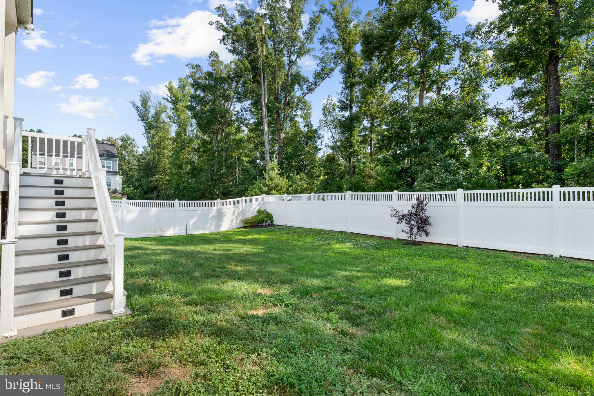 10541 Blazing Star Loop Bristow, VA 20136 - Photo 34 of 41 a view of a yard