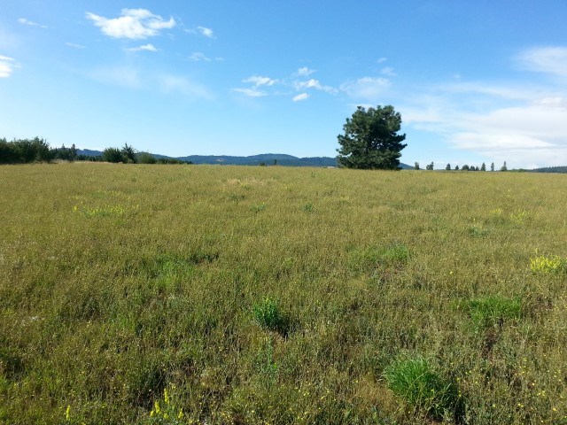 0 West Crosscut Road Deer Park, WA 99006 - Photo 4 of 5