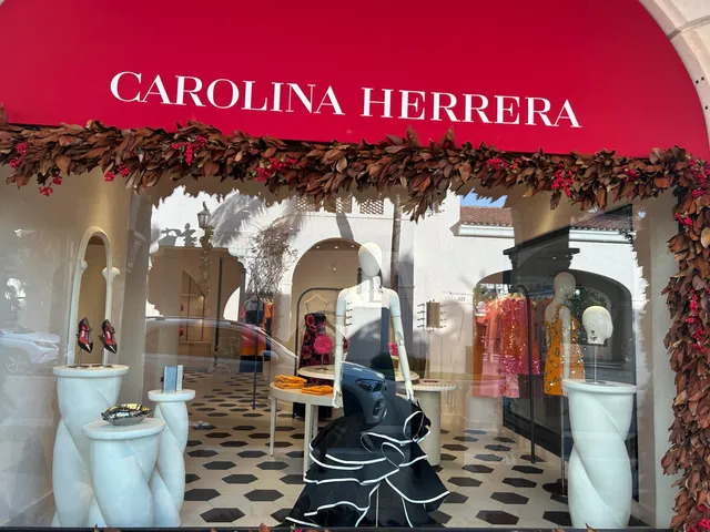 a view of a palm trees front of house