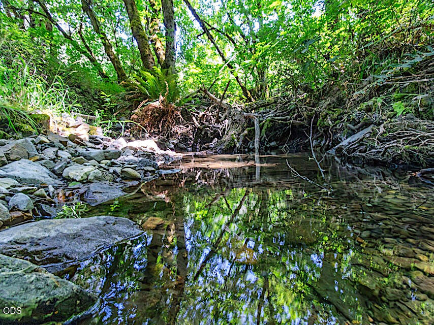 705 Murphy Gulch Road Rogue River, OR 97537 - Photo 63 of 77