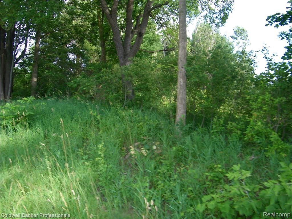 2 Martus Road North Branch, MI 48461 - Photo 2 of 8