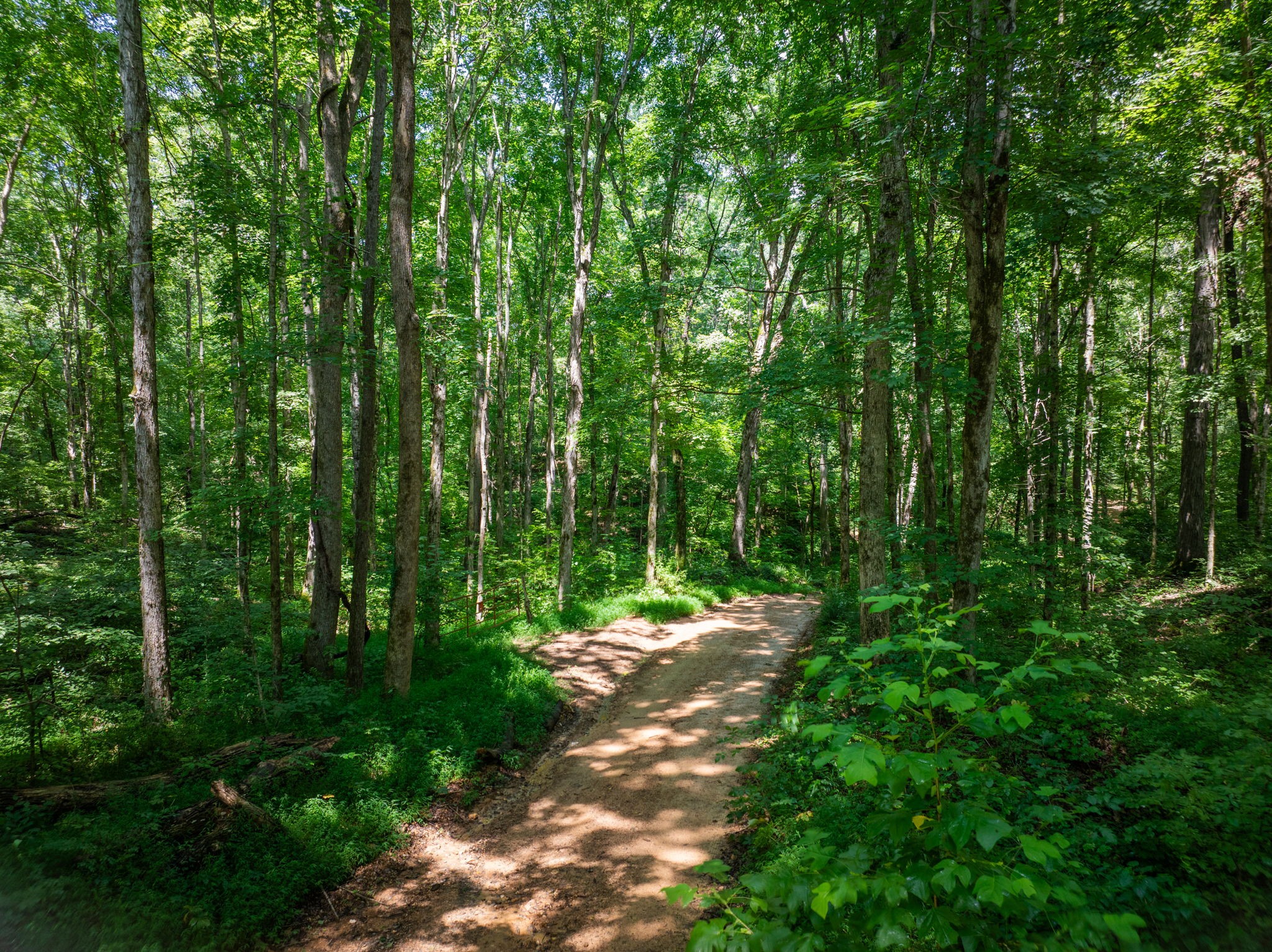 0 Barren Fork Bridge Road Bon Aqua, TN 37025 - Photo 8 of 28