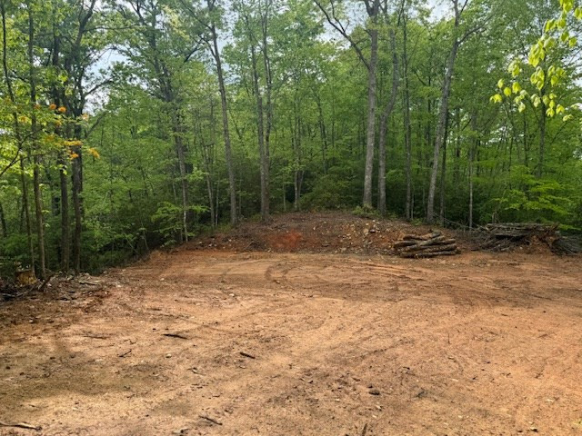 0 Tyler Lane Marble, NC 28905 - Photo 28 of 31