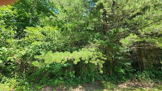 $60,000 | 2-4 Sr 108, Gruetli Laager, TN 37339