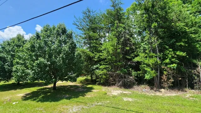 $60,000 | 2-4 Sr 108, Gruetli Laager, TN 37339