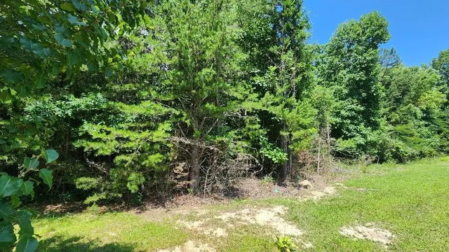 $60,000 | 2-4 Sr 108, Gruetli Laager, TN 37339