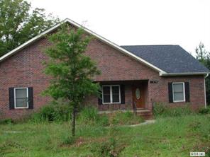 11736 Idlewild Road Matthews, NC 28105 - Photo 1 of 1 a backyard of a house with plants and large tree