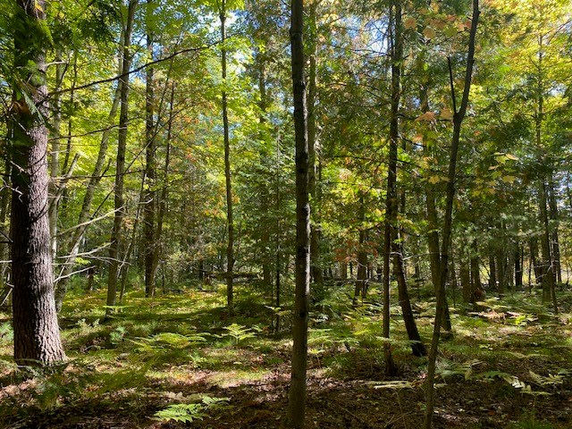 8658 Spring Road Fish Creek, WI 54212 - Photo 2 of 18 Gallery Image 2
