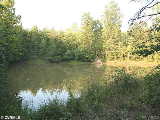 5 Jenkins Ridge Road Cartersville, VA 23027 - Photo 4 of 9 Land - Another view of the pond.