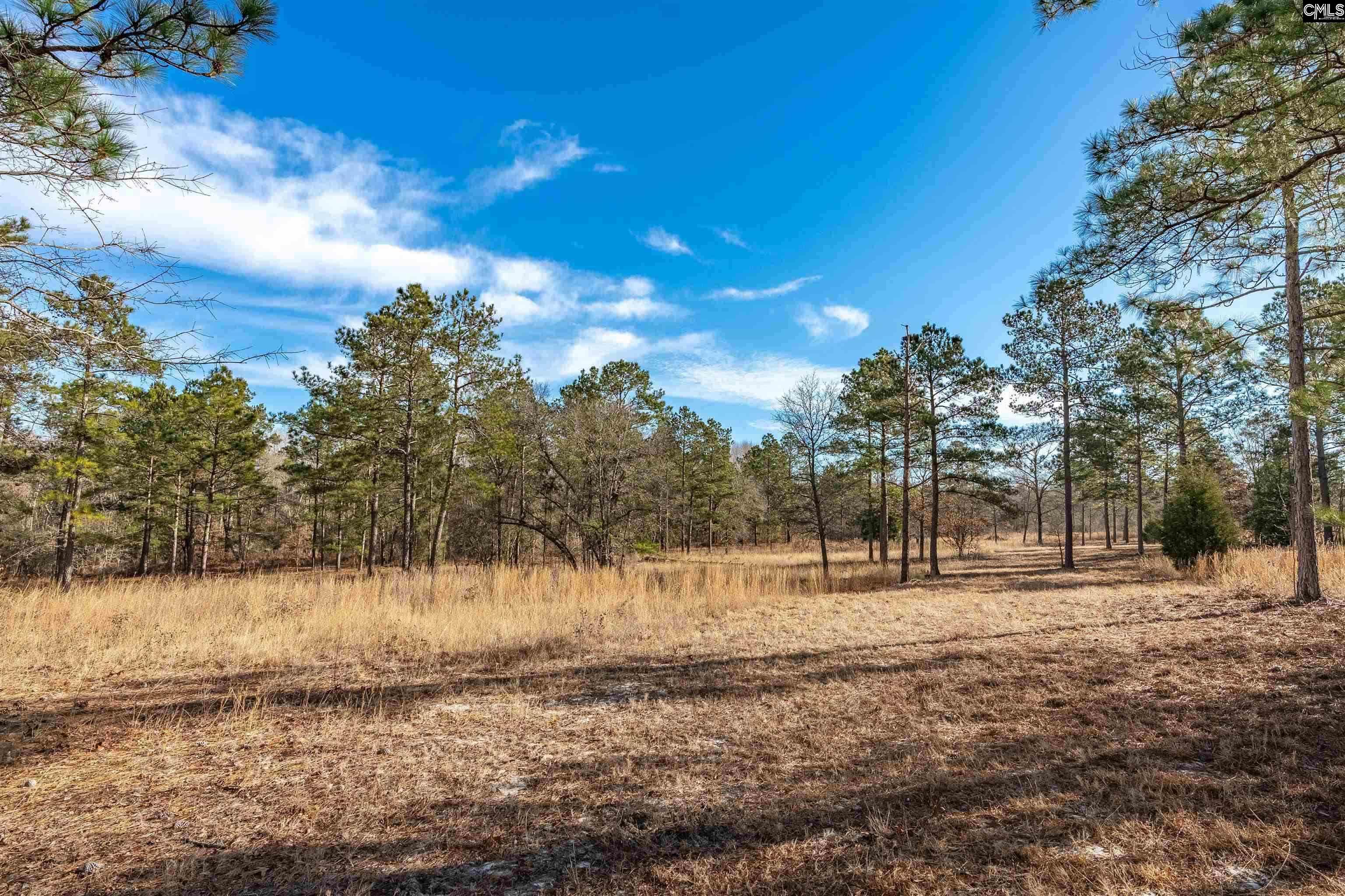 216 Hound Holw Road Camden, SC 29020 - Photo 4 of 9