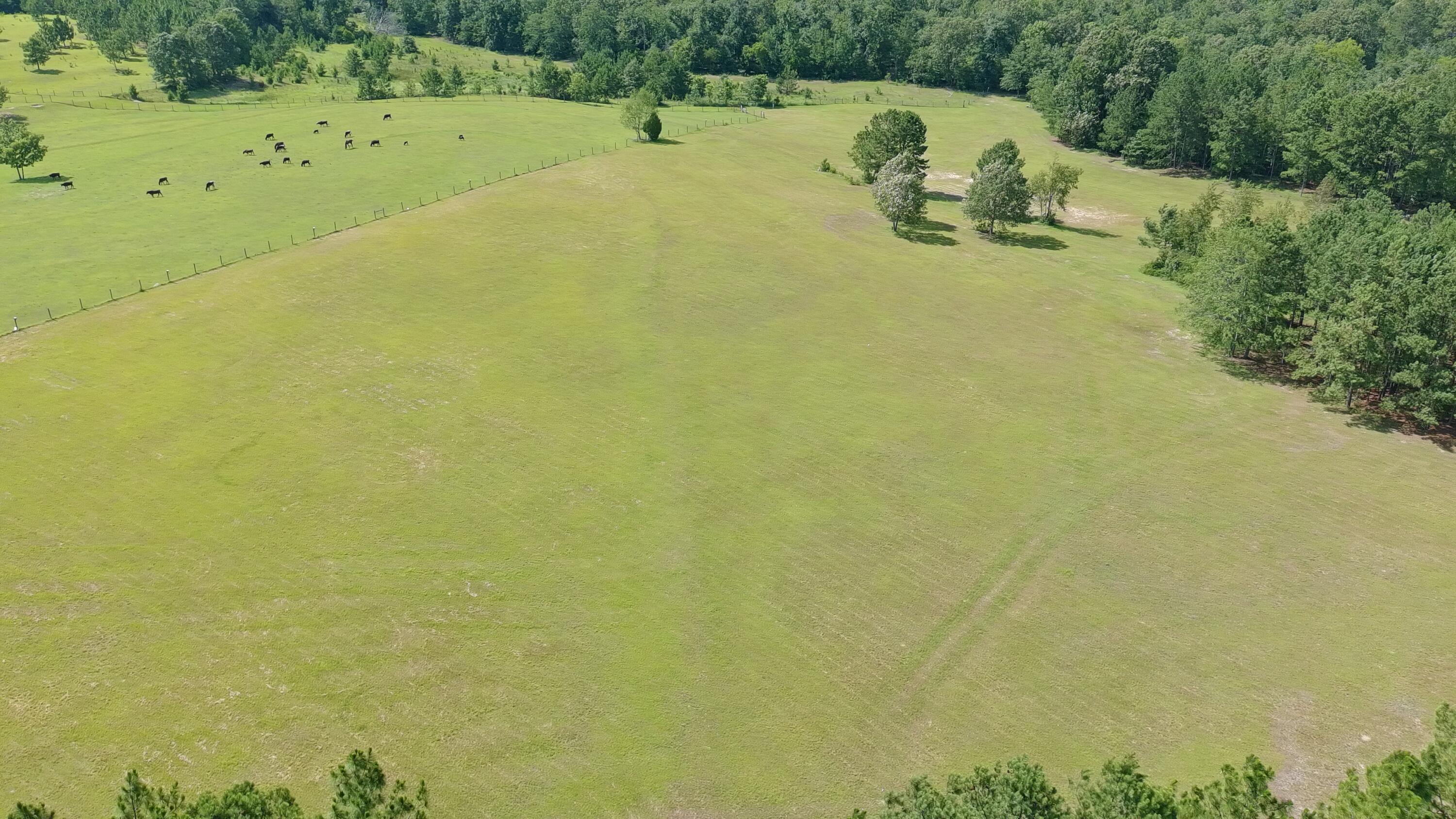 41-acres Whiskey Road Aiken, SC 29803 - Photo 23 of 44