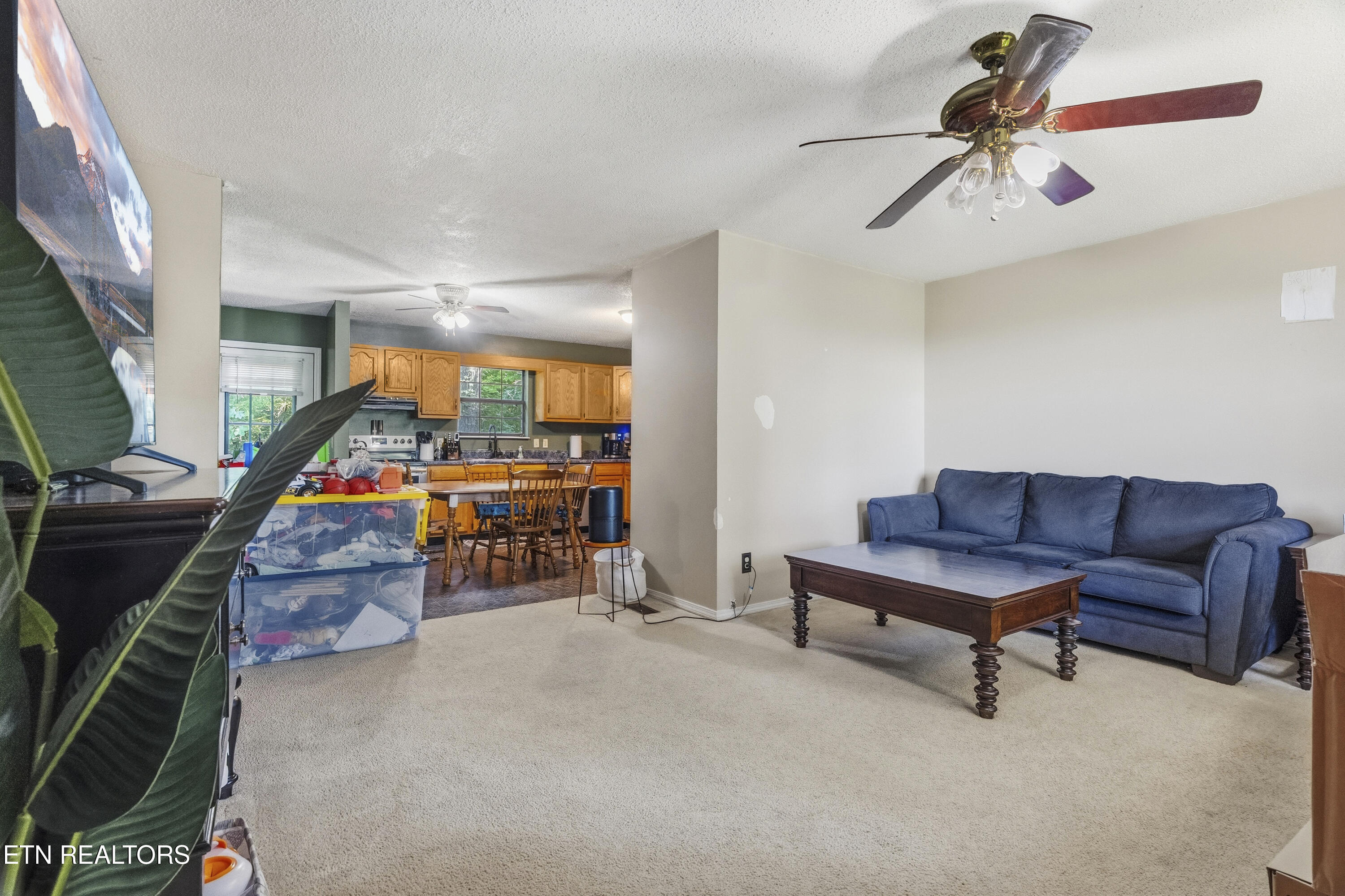 205 Booker Road Maynardville, TN 37807 - Photo 10 of 24 DSC05590