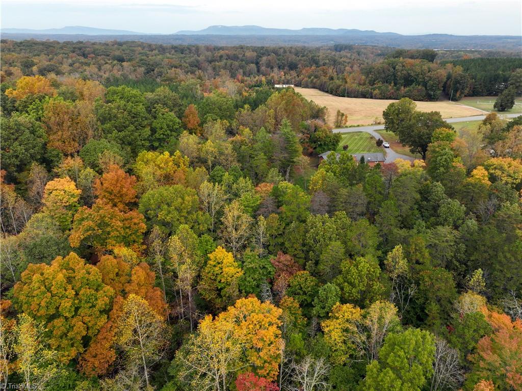 9885 Baux Mountain Road Germanton, NC 27019 - Photo 6 of 22