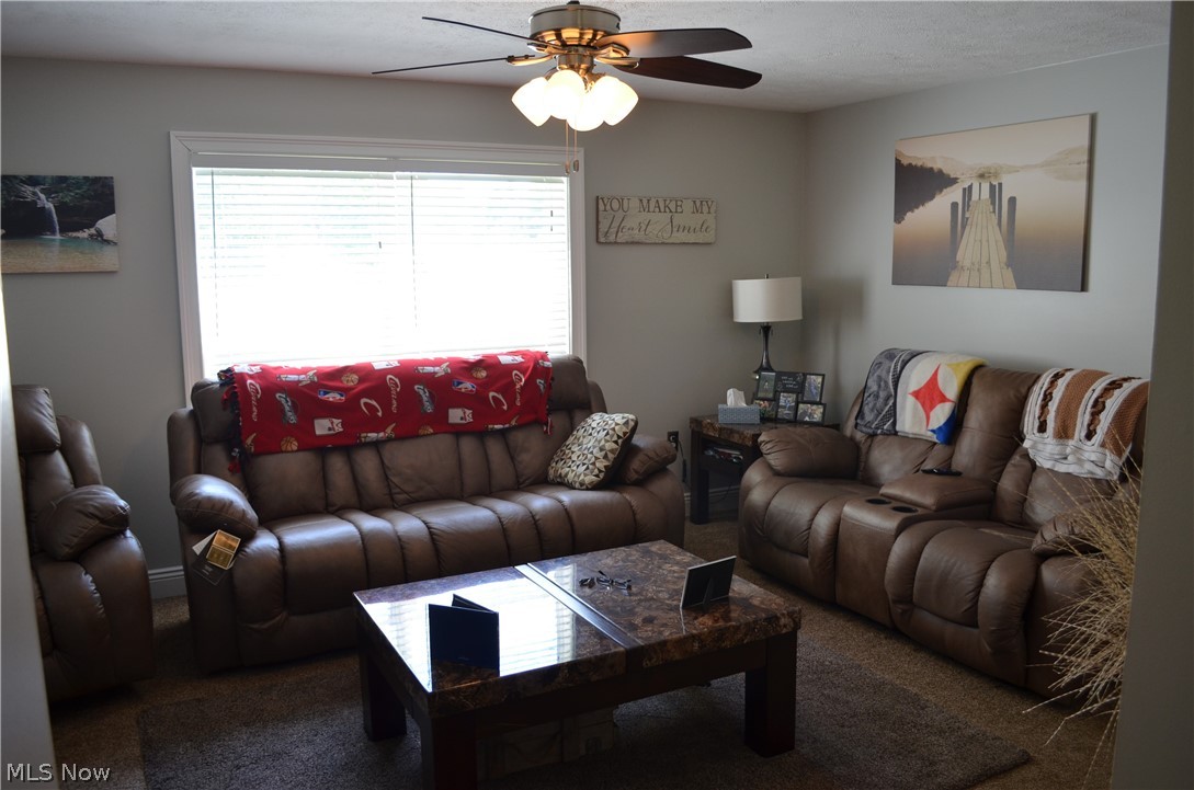 4024 Manchester Road Perry, OH 44081 - Photo 8 of 28