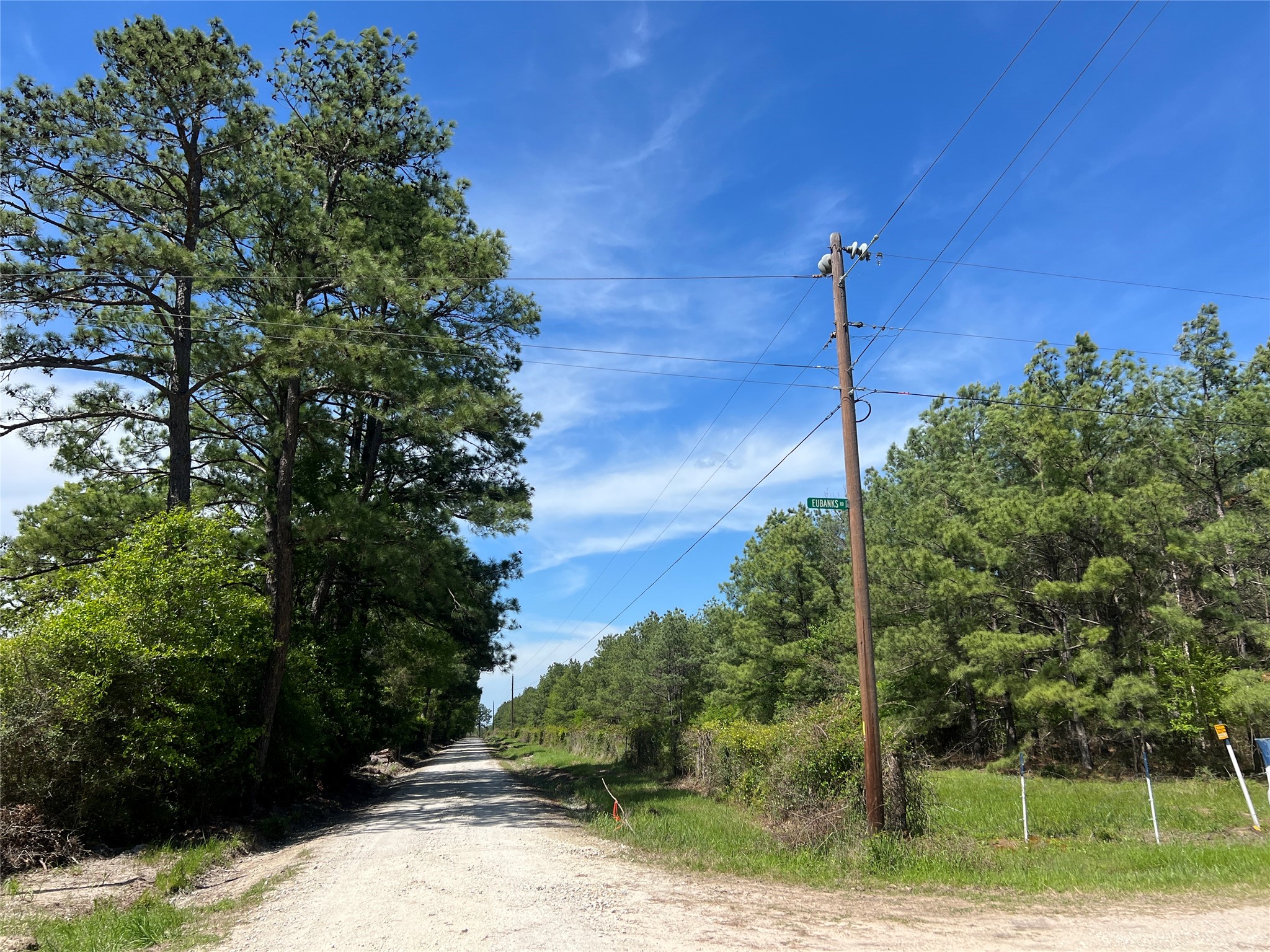 19 English Road Bedias, TX 77831 - Photo 2 of 7