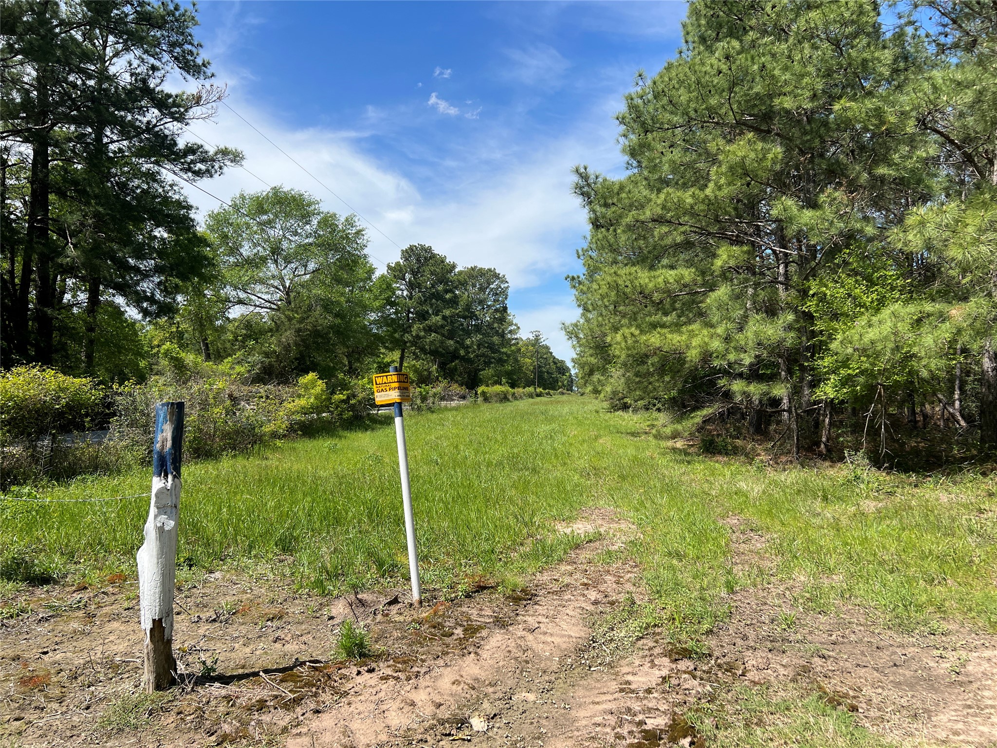19 English Road Bedias, TX 77831 - Photo 3 of 7