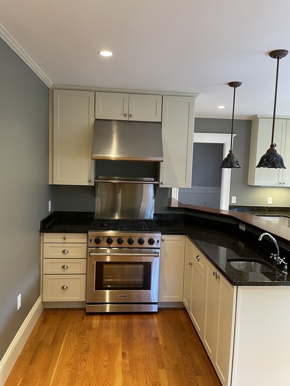 36 Gerald Road, Unit 2 Boston, MA 02135 - Photo 8 of 17 Gallery Image 8