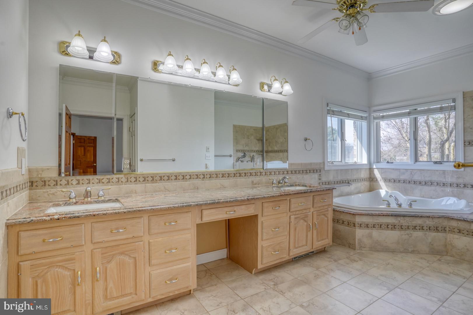 34 Chadwick Drive Dover, DE 19901 - Photo 45 of 59 a bathroom with a granite countertop double vanity sink a mirror and a bathtub