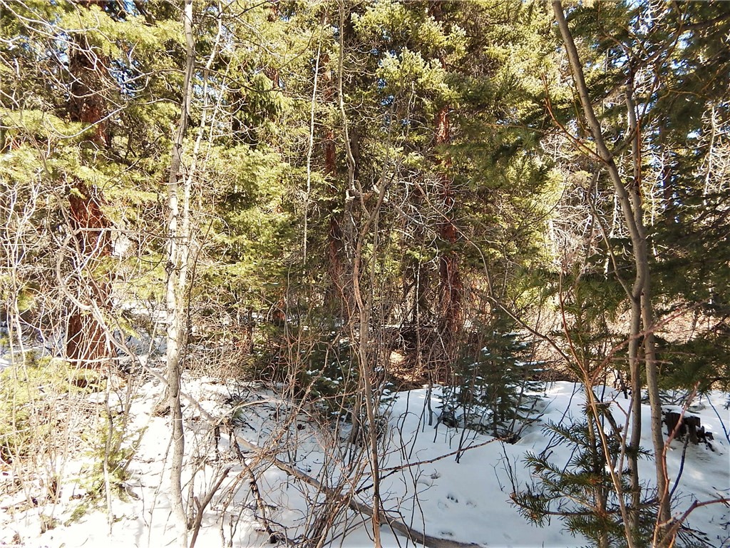 589 Mine Dump Road Alma, CO 80420 - Photo 25 of 26 Gallery Image 25