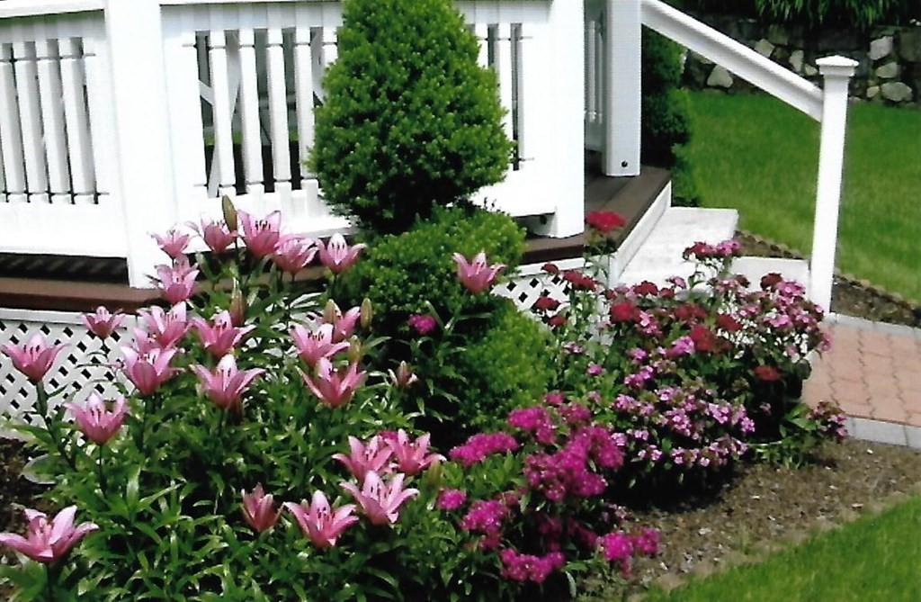 10 Randell Road Saugus, MA 01906 - Photo 41 of 42 Gallery Image 41