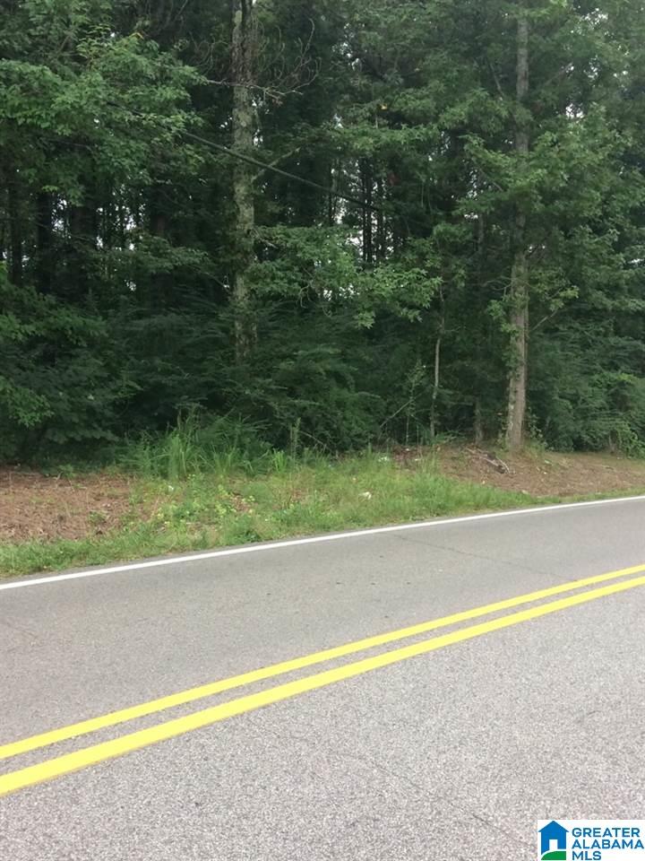 1701 Downs Road Mount Olive, AL 35117 - Photo 1 of 2