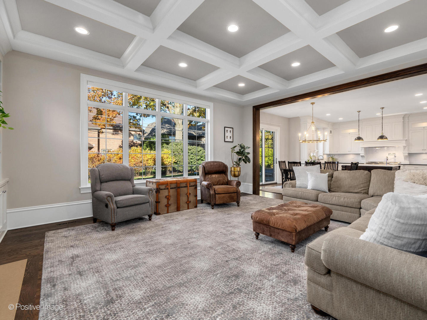 109 East Madison Street Elmhurst, IL 60126 - Photo 20 of 56 a living room with furniture and large windows