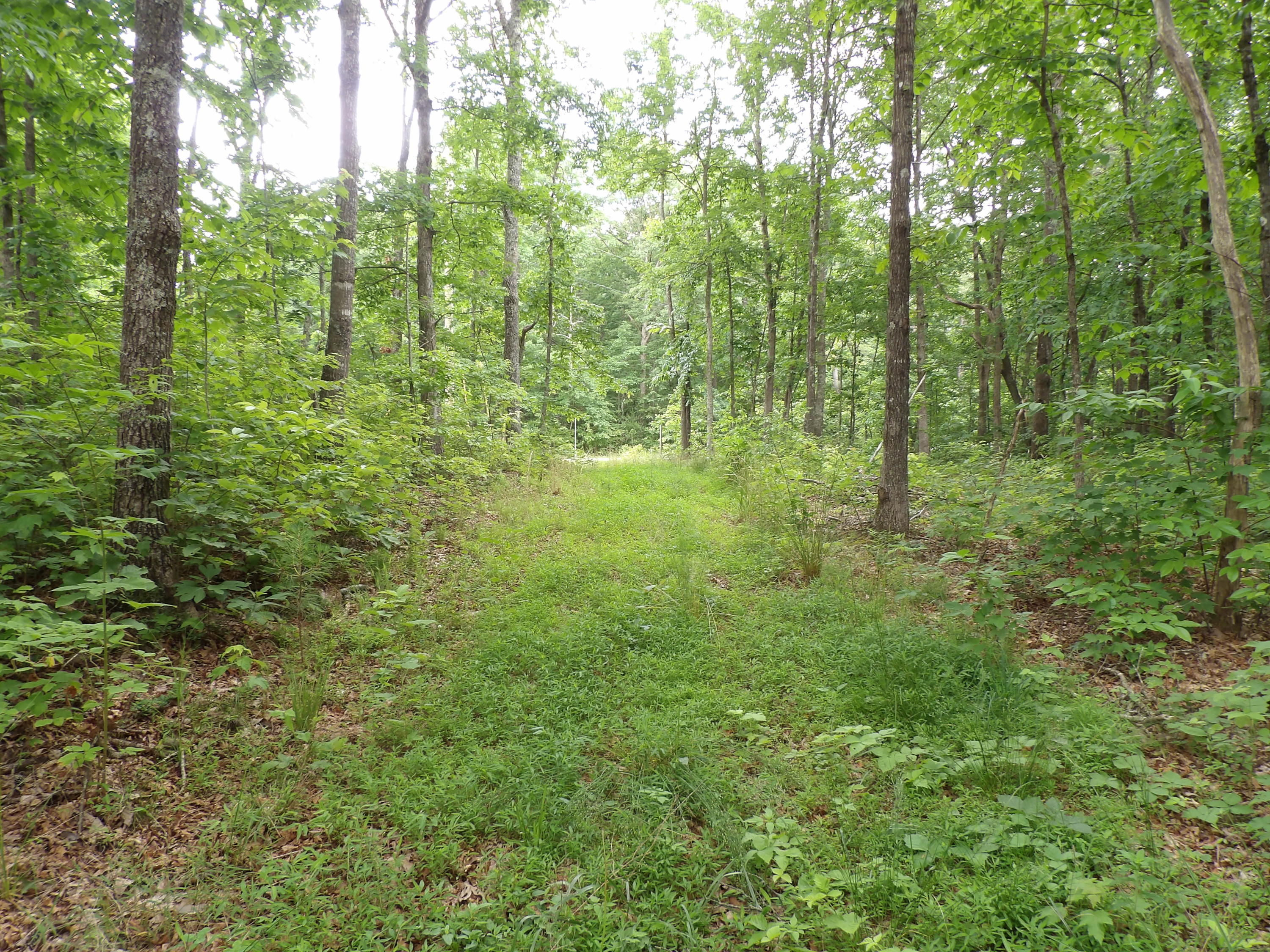 70 Jason Road Pikeville, TN 37367 - Photo 1 of 16 100_1116