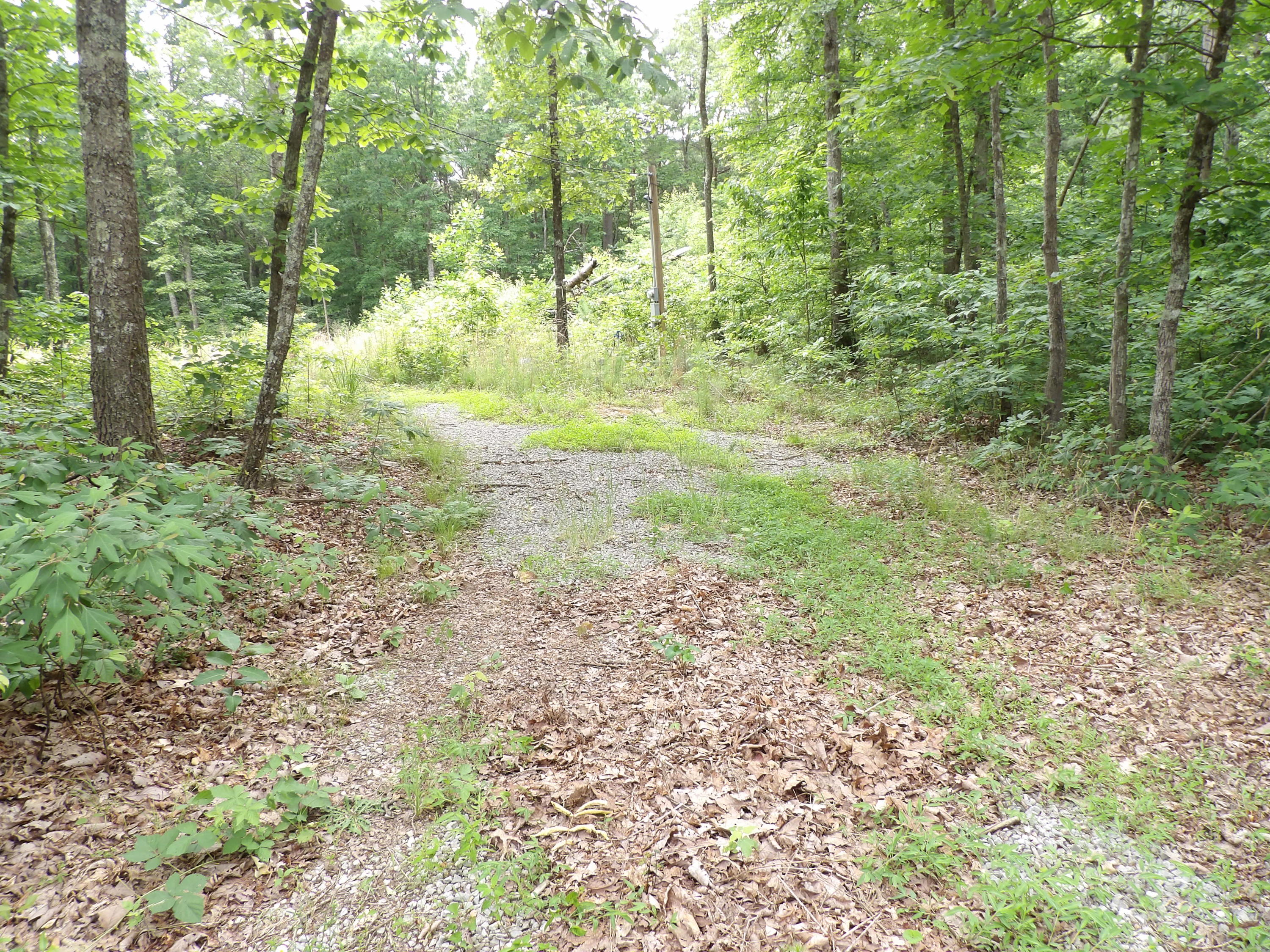 70 Jason Road Pikeville, TN 37367 - Photo 2 of 16 100_1105