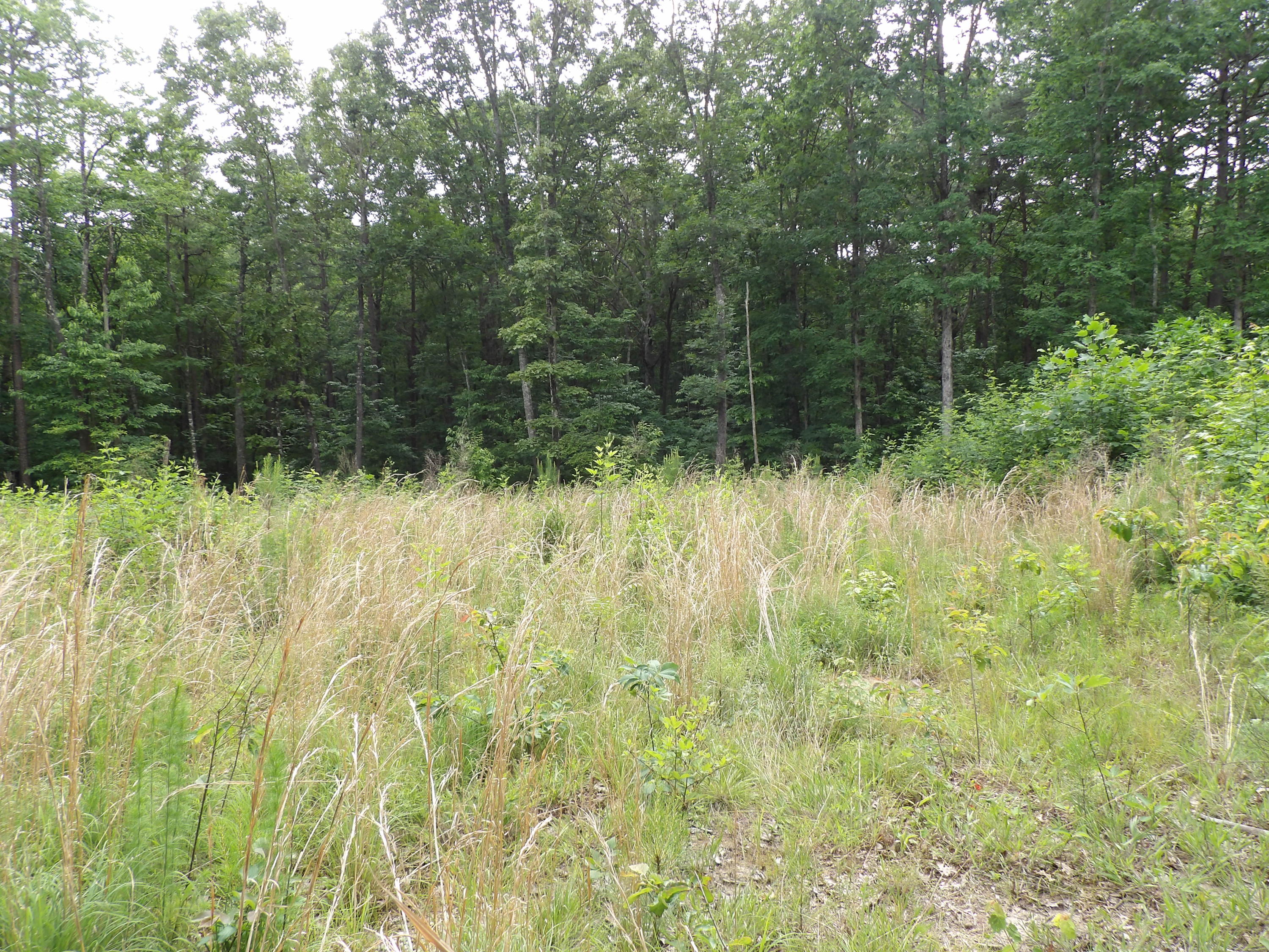 70 Jason Road Pikeville, TN 37367 - Photo 8 of 16 100_1111