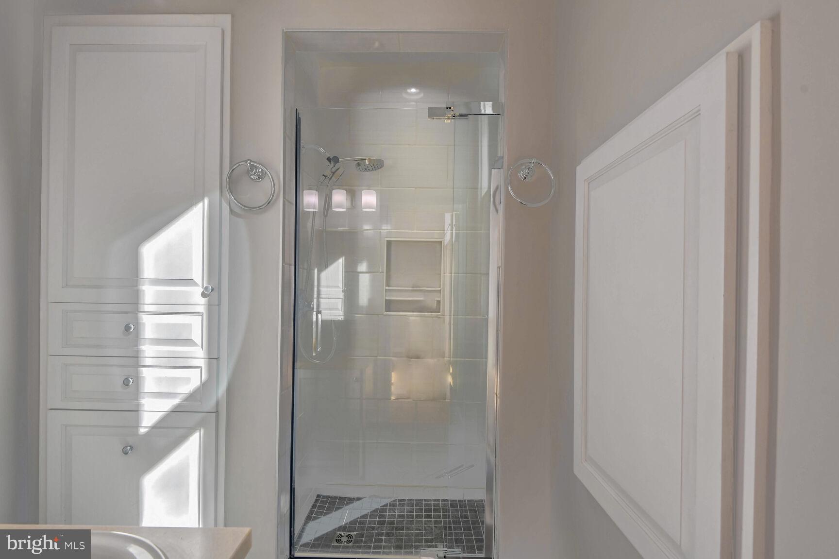 14645 Good Hope Road Silver Spring, MD 20905 - Photo 15 of 26 Sleek modern shower in bright space.