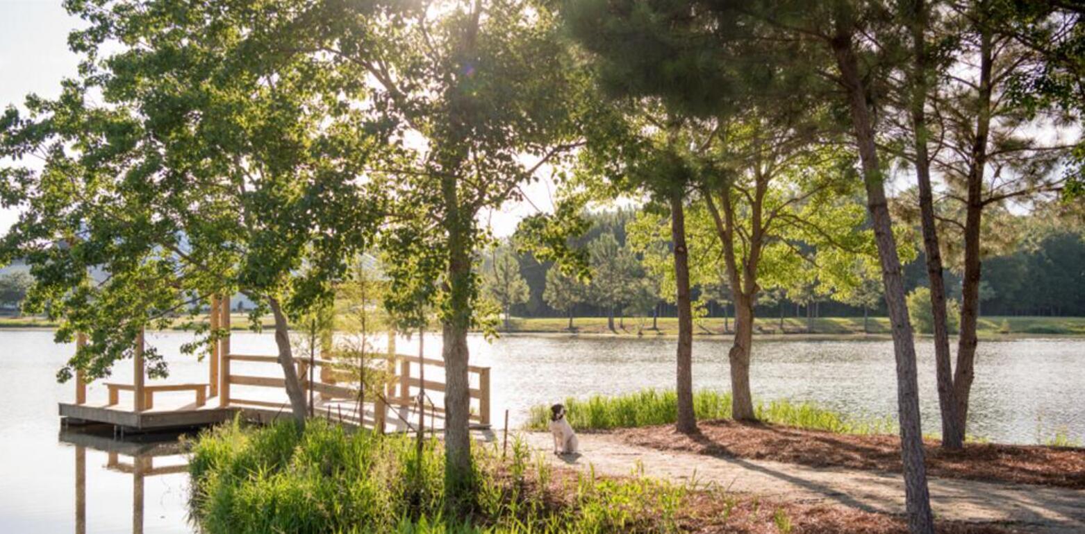 112 Ingleside Drive Summerville, SC 29486 - Photo 35 of 35 Fishing Lake