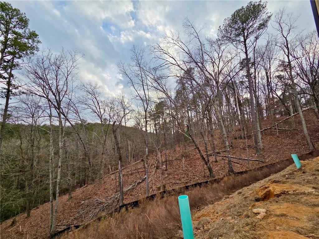 108 Waterview Court Waleska, GA 30183 - Photo 18 of 38