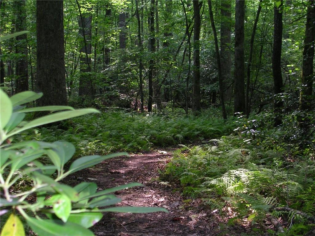 108 Waterview Court Waleska, GA 30183 - Photo 37 of 38