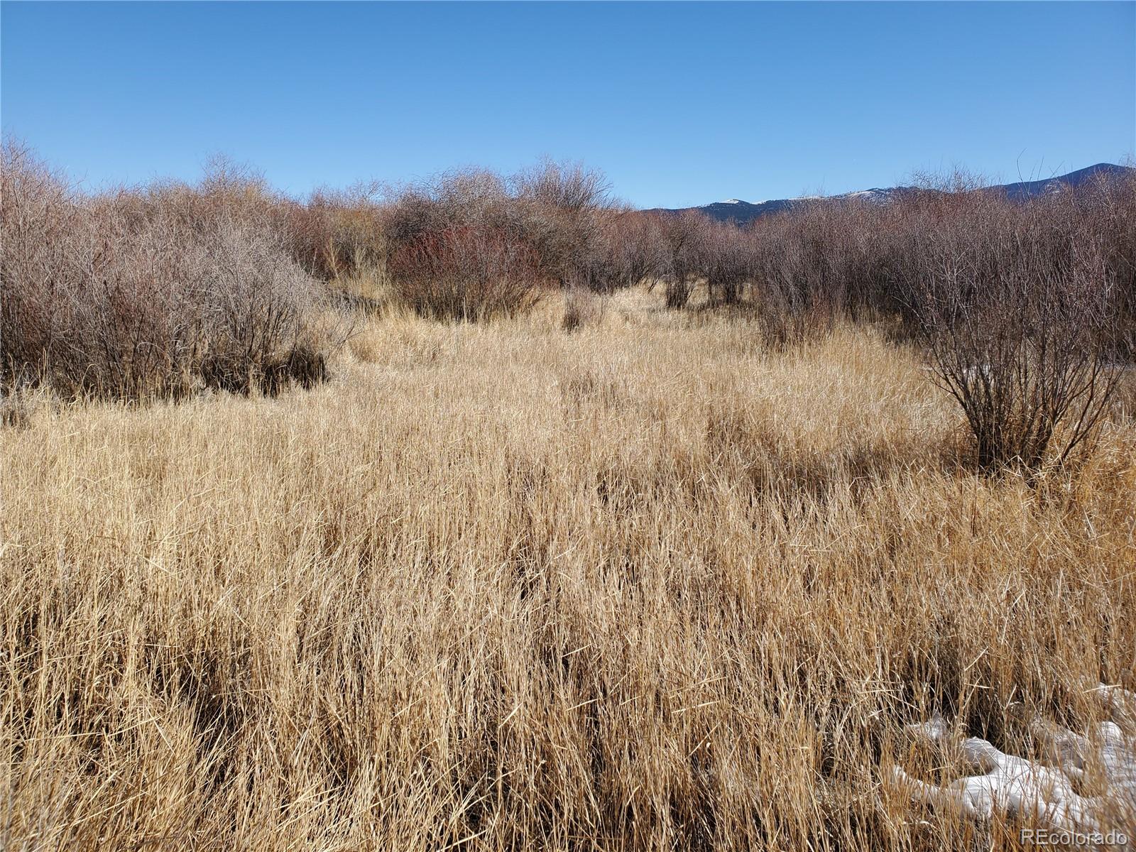 3086 Trinchera Ranch Road North Fort Garland, CO 81133 - Photo 15 of 18 Gallery Image 15