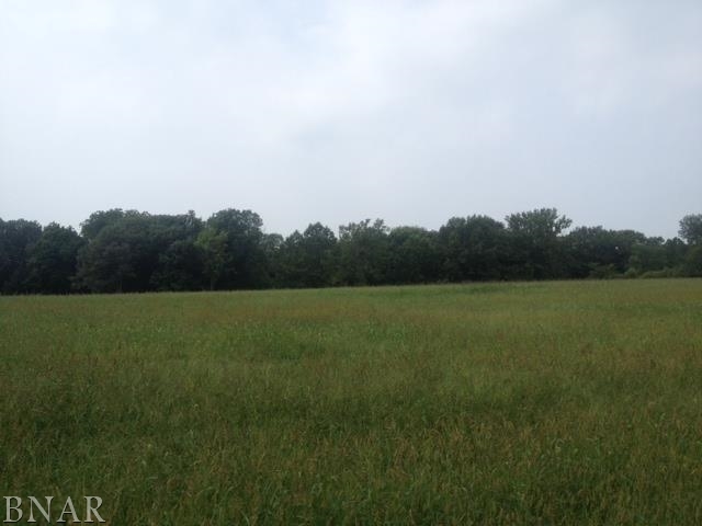 Lot 10 Tyrrell Road Mackinaw, IL 61755 - Photo 1 of 1