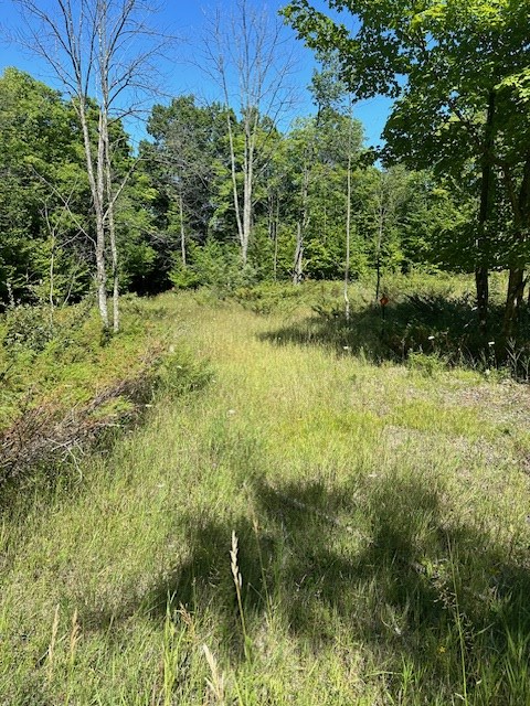 Tbd Woodcrest Road Sister Bay, WI 54234 - Photo 2 of 3