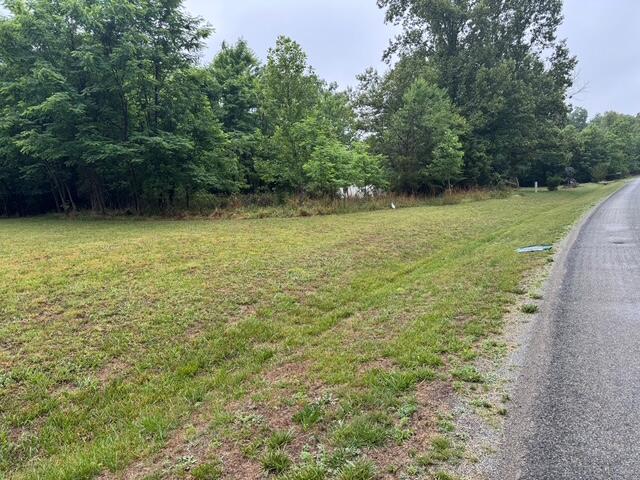0 Fork Mountain Road Rocky Mount, VA 24151 - Photo 4 of 8 a view of a yard with a trees