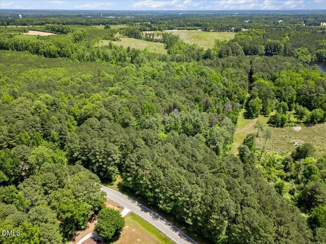 a view of a lush green forest with lots of trees
