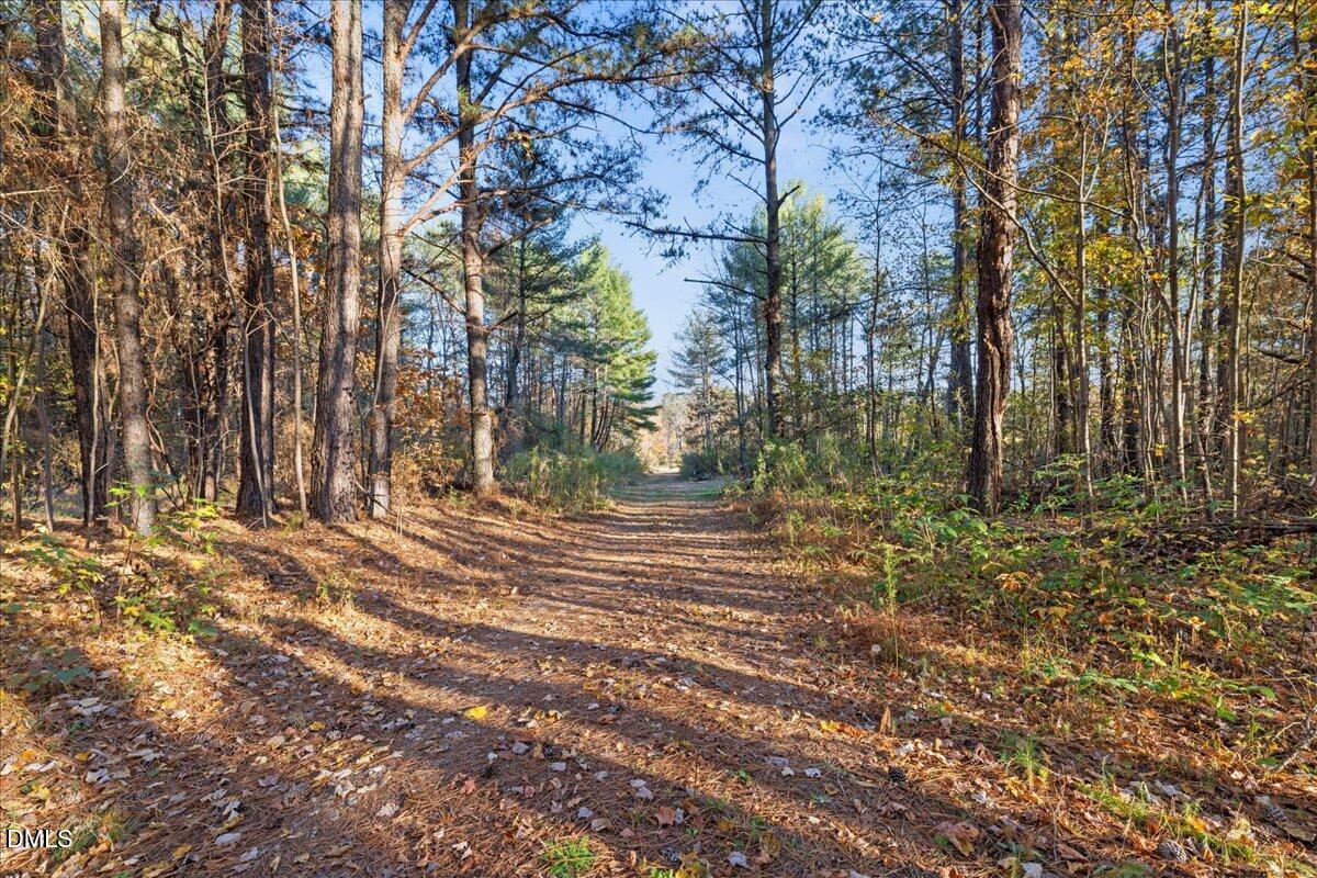 705 Timberlake Road Louisburg, NC 27549 - Photo 8 of 9 06-IMGC2050