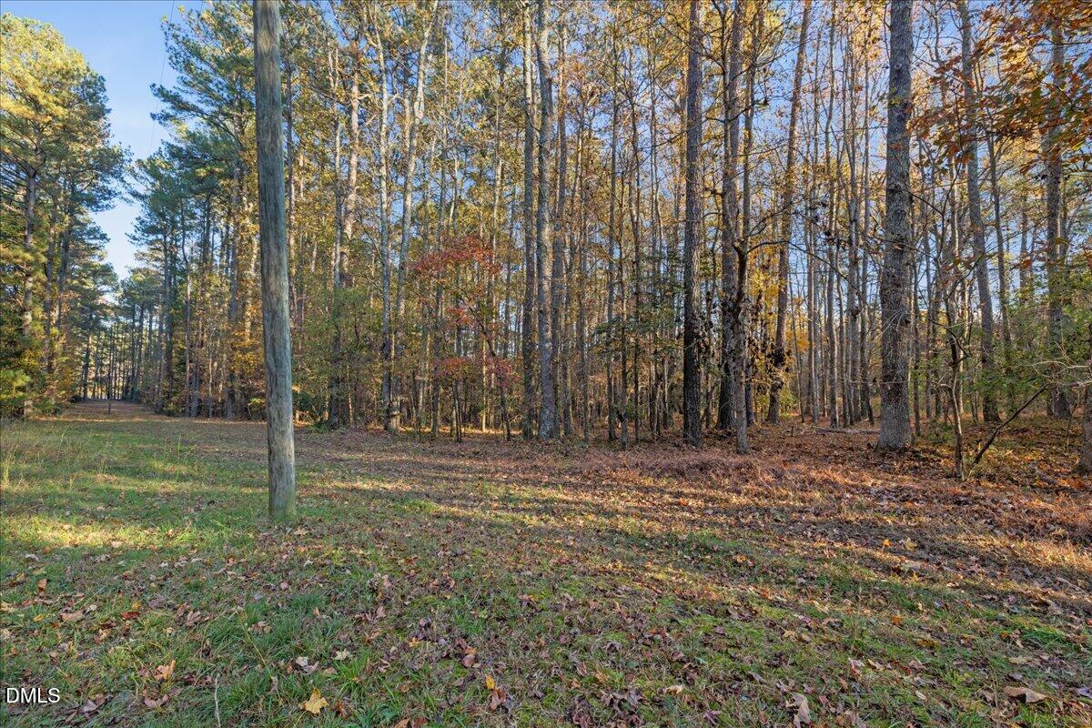 705 Timberlake Road Louisburg, NC 27549 - Photo 9 of 9 14-IMGC2072