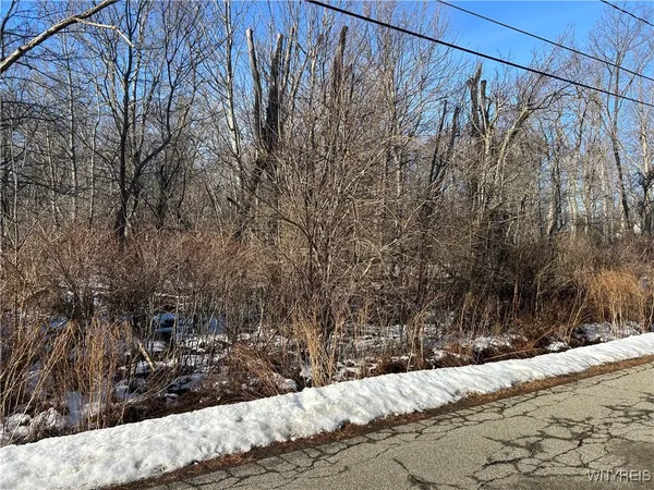 $35,900 | 7336 Derby Road, Evans, NY 14047